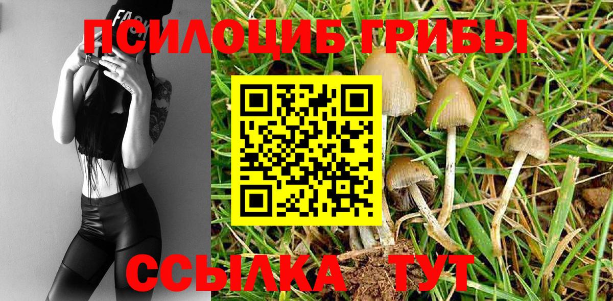 Галлюциногенные грибы прущие грибы Белгород