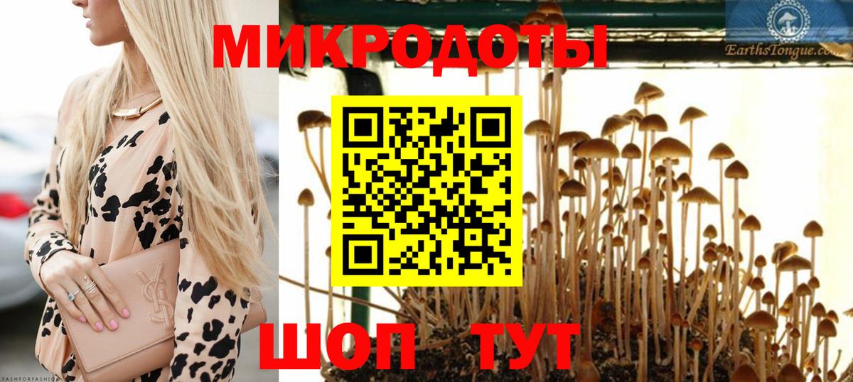 ГАШ Белгород